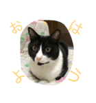 はちロボ8＋2（個別スタンプ：22）