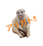 幸せ者だ！！！（個別スタンプ：14）