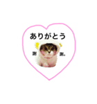 ぼくラムネ♡（個別スタンプ：3）