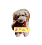 family love happiness（個別スタンプ：10）