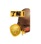 yahiko1（個別スタンプ：16）