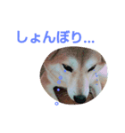 COCOx（個別スタンプ：4）