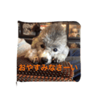アイリーとカリブ（個別スタンプ：8）