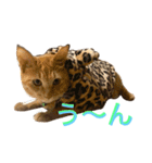 れもんとすだち 2（個別スタンプ：1）