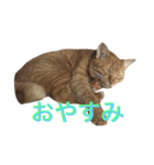 れもんとすだち 2（個別スタンプ：13）