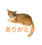 れもんとすだち 2（個別スタンプ：16）