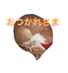 れもんとすだち 2（個別スタンプ：22）
