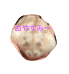 ハムと一緒2（個別スタンプ：5）