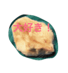 ハムと一緒2（個別スタンプ：10）
