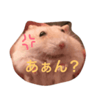 ハムと一緒2（個別スタンプ：12）