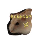 ハムと一緒2（個別スタンプ：14）