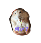 ハムと一緒2（個別スタンプ：18）