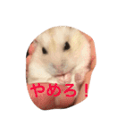 ハムと一緒2（個別スタンプ：32）