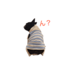 フレブルの柚子（個別スタンプ：14）