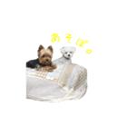 はる＆そら（個別スタンプ：7）