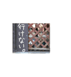 はる＆そら（個別スタンプ：12）