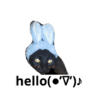 ひめ と くろた  2にゃんズ（個別スタンプ：4）