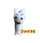 ひめ と くろた  2にゃんズ（個別スタンプ：14）