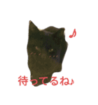 ひめ と くろた  2にゃんズ（個別スタンプ：19）