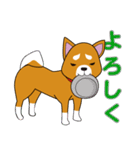 赤柴犬スタンプ（個別スタンプ：11）