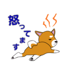 赤柴犬スタンプ（個別スタンプ：12）