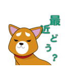 赤柴犬スタンプ（個別スタンプ：20）