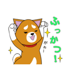 赤柴犬スタンプ（個別スタンプ：23）