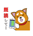 赤柴犬スタンプ（個別スタンプ：24）