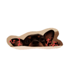 たじまわんこ（個別スタンプ：8）
