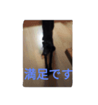 我が家の黒犬（個別スタンプ：19）