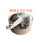 ベルくん③（個別スタンプ：1）