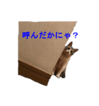 ベルくん③（個別スタンプ：8）
