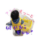 しんのすけ3（個別スタンプ：13）