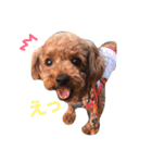 毎日ココ（個別スタンプ：3）