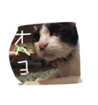 ポタポタノビ（個別スタンプ：3）