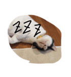 ポタポタノビ（個別スタンプ：8）