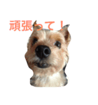 ブン太 の気持ち（個別スタンプ：2）