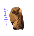 ブン太 の気持ち（個別スタンプ：9）