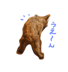 ブン太 の気持ち（個別スタンプ：15）