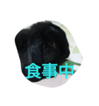 リラな毎日（個別スタンプ：5）