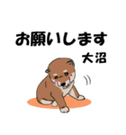 大沼さんが使う名前スタンプ・子犬イラスト（個別スタンプ：1）