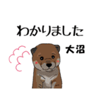 大沼さんが使う名前スタンプ・子犬イラスト（個別スタンプ：5）