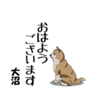 大沼さんが使う名前スタンプ・子犬イラスト（個別スタンプ：17）