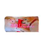 わんにゃこ★（個別スタンプ：4）