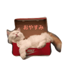 きなこの一日（個別スタンプ：2）