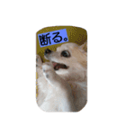 everyday melon（個別スタンプ：2）