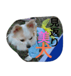 everyday melon（個別スタンプ：28）