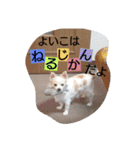 everyday melon（個別スタンプ：30）