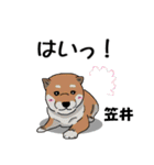 笠井さんが使う名前スタンプ・子犬イラスト（個別スタンプ：22）