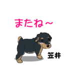 笠井さんが使う名前スタンプ・子犬イラスト（個別スタンプ：23）